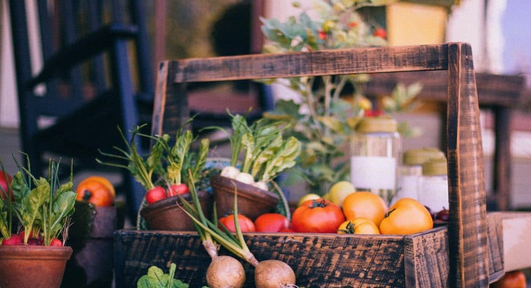 Ein Korb voll von Gemüse, dass ohne Pestizide gedeit sind.
