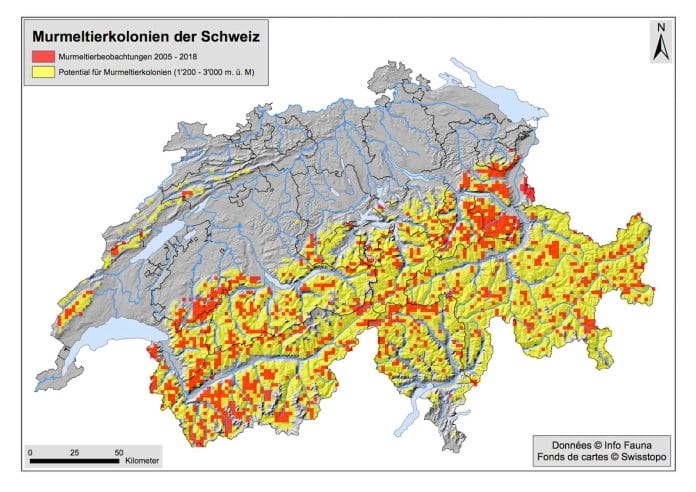Karte der wirklichen und der potentiellen Ausbreitung von Murmeltieren in den Alpen.