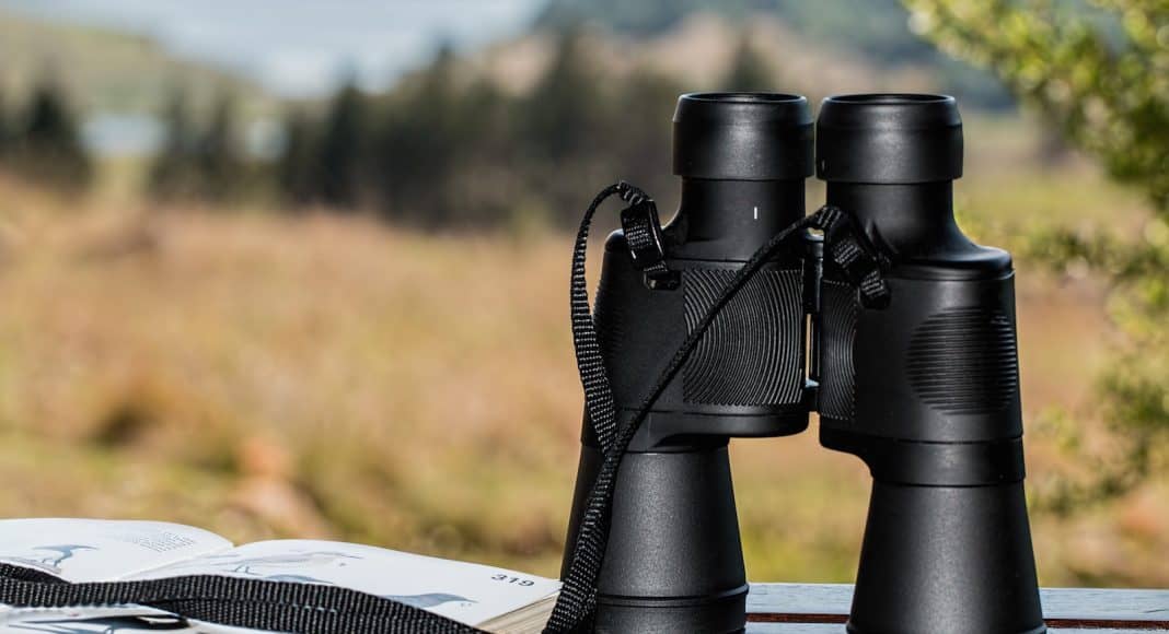 Bei Beobachtungen sollte man den Vögeln gegenüber Distanz wahren.