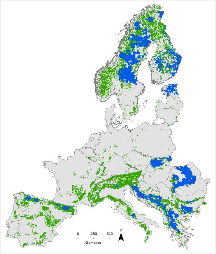 Verbreitungsgebiet des Braunbären in Europa.