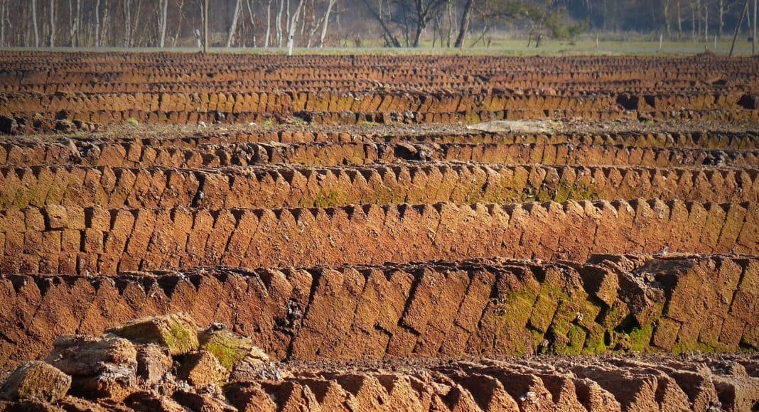 Reihen von Torf aufgestapelt auf dem Boden.