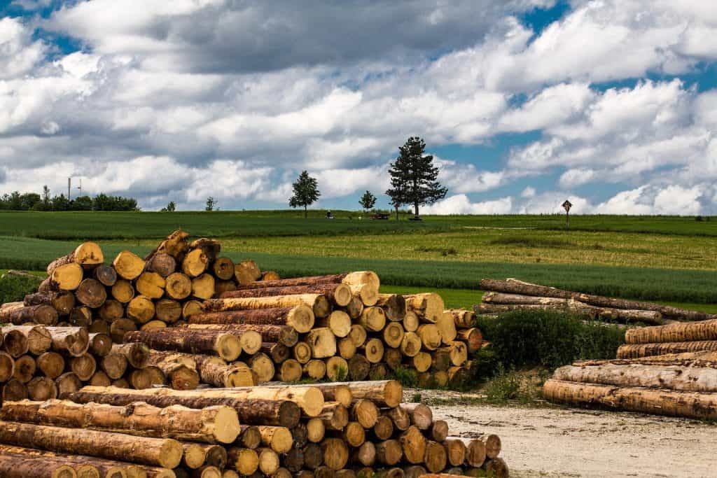 Ein Holzstapel in der Landwirtschaft.