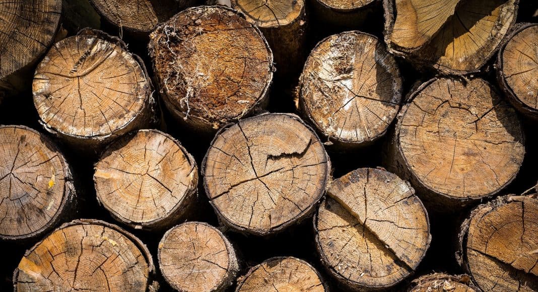 Viel Holz wird importiert.