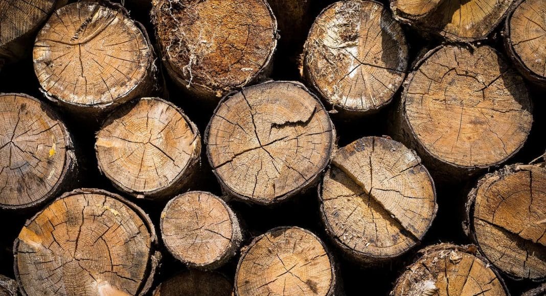 Viel Holz wird importiert.