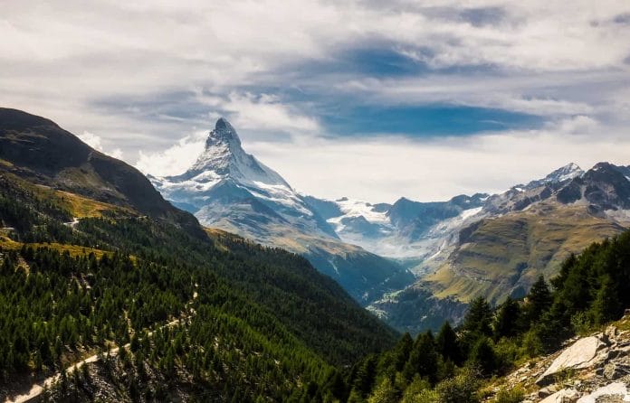 Viele Wälder sind Schutzwälder, wie hier in der Region Zermatt.