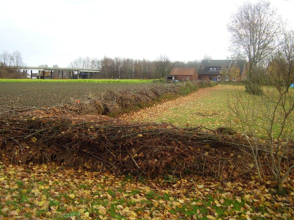 Eine Benjeshecke aus Äste, die verstecke für Tiere im Winter bietet.