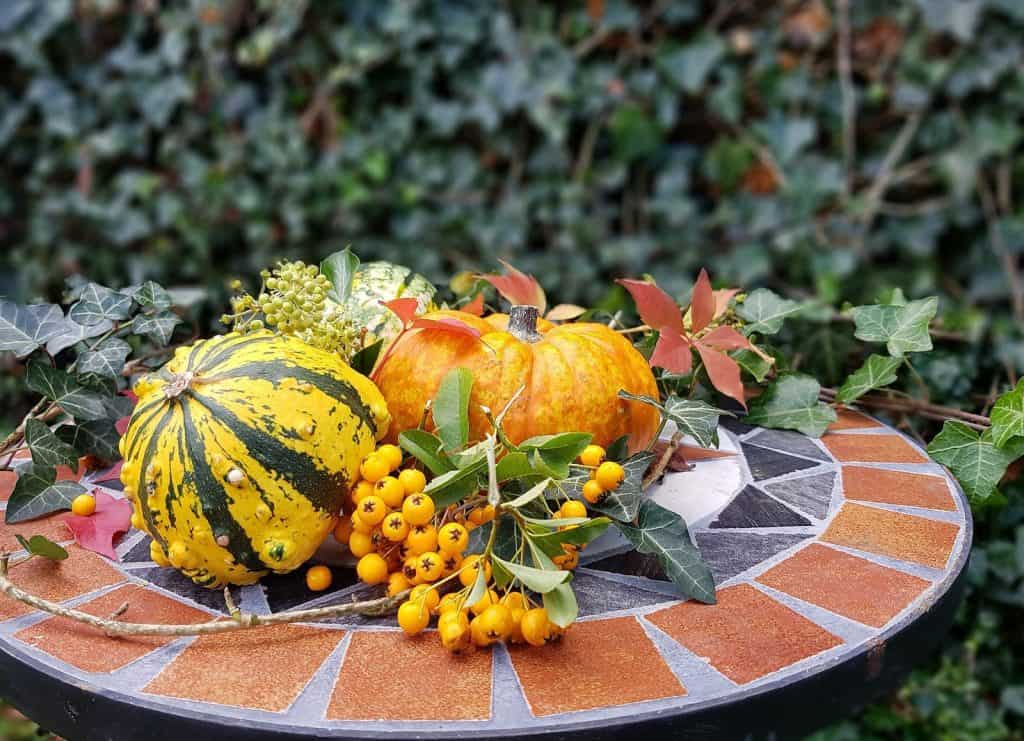 Kürbisse im Herbst machen gute Dekorationen.