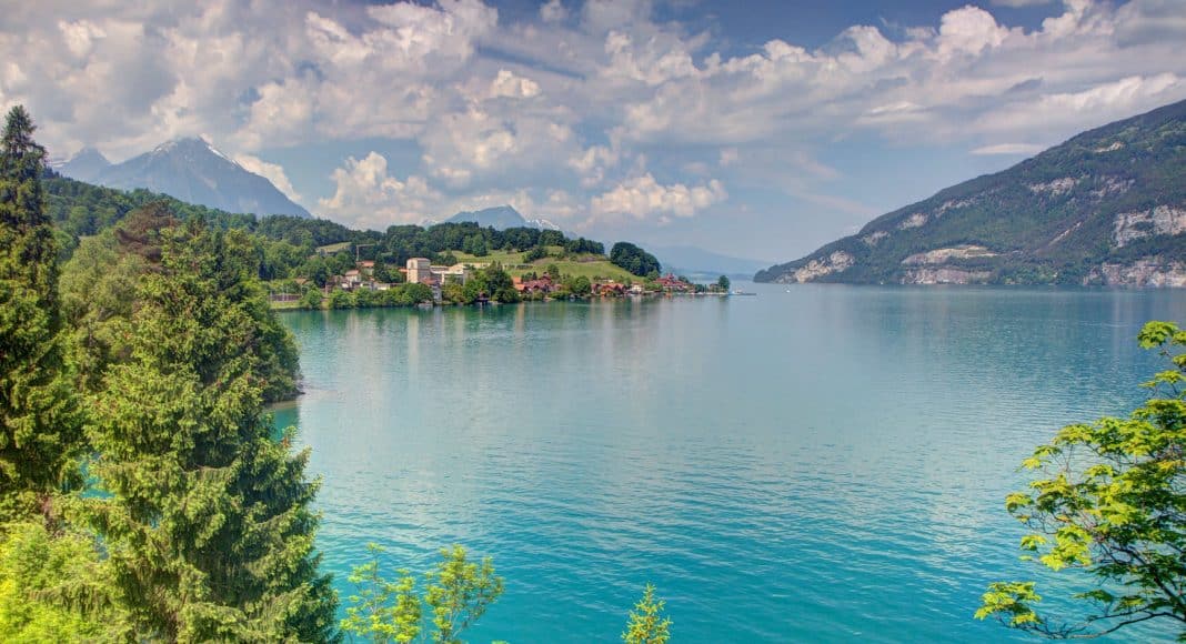 Der hier abgebildete Thunersee ist das zuhause von einer neu entdeckten Felchenart.