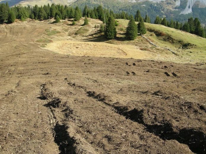 Weidepflegemassnahmen zerstören Kleinstrukturen im Gelände.