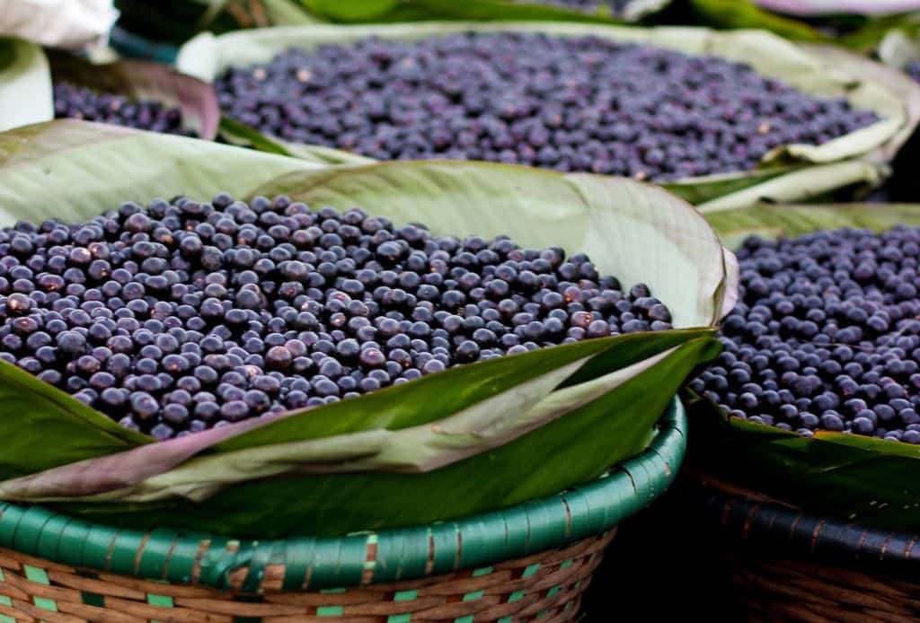 Acai Beeren gilt als sogenanntes Superfood.