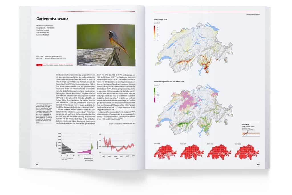 Doppelseite über den Gartenrotschwanz im Brutvogelatlas.