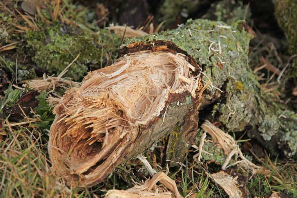 Nur noch zersplittertes Holz bleibt übrig.