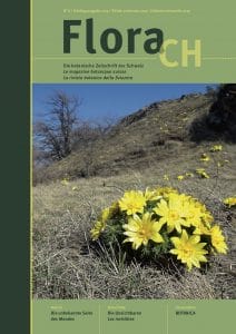 Titelbild Info Flora.