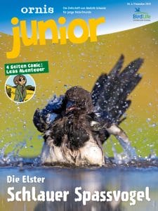 Natur Zeitschrift: Ornis Junior Titelbild.