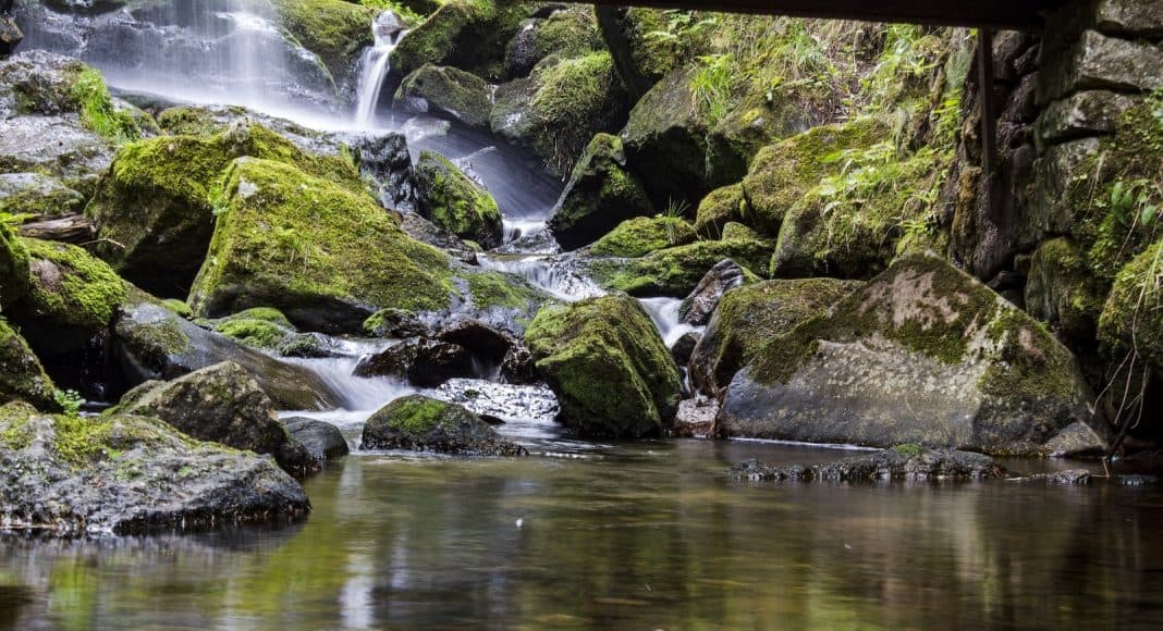 Ein Bach fällt über vermooste Steine einen kleinen Wasserfall hinunter.
