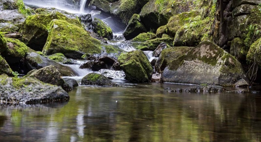 Ein Bach fällt über vermooste Steine einen kleinen Wasserfall hinunter.