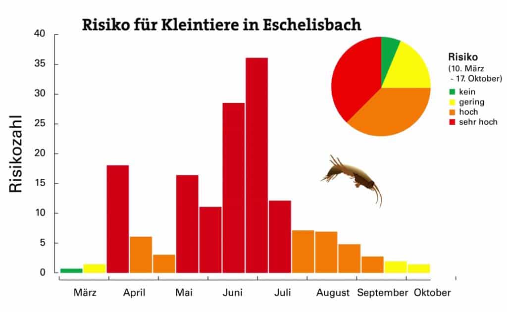 Zurück Probenahme am Eschelisbach (TG). Foto: Eawag, Esther Michel Zu viele Pflanzenschutzmittel in kleinen Bächen 2. April 2019, Themen: Trinkwasser Biodiversität Ökosysteme Schadstoffe Zwei Studien der Eawag und des Oekotoxzentrums zeigen erneut, dass Gewässer in landwirtschaftlich genutzten Einzugsgebieten stark mit Pflanzenschutzmitteln belastet sind. Die Konzentrationen einzelner Stoffe stellen über Monate hinweg ein Risiko für chronische Schäden dar und liegen längere Zeit über Werten, ab denen für Pflanzen und Tiere im Wasser ein akut toxisches Risiko besteht. In den meisten Proben wurden 30 oder mehr verschiedene Wirkstoffe gemessen. Untersuchungen der Artenvielfalt in den Bächen und Biotests bestätigen die Gefahr, welche von diesen Stoffgemischen ausgeht. Vom März bis im Oktober 2017 haben die Eawag und das Oekotoxzentrum Proben aus fünf kleineren Bächen mit unterschiedlichen landwirtschaftlichen Nutzungen in den Einzugsgebieten laufend auf Pflanzenschutzmittel untersucht. Unterstützt wurden sie dabei von fünf Kantonen und der Plattform Wasserqualität des VSA (Verband Schweizer Abwasser und Gewässerschutzfachleute). Die Untersuchung erfolgte im Auftrag des Bundesamts für Umwelt BAFU im Rahmen der Nationalen Beobachtung Oberflächengewässerqualität NAWA. Heute wurden die Resultate in zwei Artikeln in der Zeitschrift Aqua&Gas publiziert. Mischungen führen zu langanhaltendem Risiko Pro Standort wurden zwischen 71 und 89 Wirkstoffe gefunden, insgesamt 145 Stoffe. Umweltqualitätskriterien, für jeden Stoff aus Tests abgeleitet, wurden in allen fünf Bächen überschritten. Über dreieinhalb bis sechseinhalb Monate lang, das heisst stellenweise während der ganzen Vegetationszeit, bestand ein Risiko für eine chronische, also schleichende Schädigung der Organismen im Bach. Während 14 bis 74 Tagen war das Risiko so hoch, dass mit akuten Beeinträchtigungen der Lebensgemeinschaften gerechnet werden muss. Zu diesem Befund führten einzelne besonders problematische Stoffe, aber schliesslich auch die ganze Mischung aus Herbiziden, Fungiziden, Insektiziden und weiteren Mitteln: Im Eschelisbach (TG) lag dieses berechnete Risiko bis 36 mal und im Weierbach (BL) bis 50 mal über der Schwelle, ab welcher negative Effekte auf Fortpflanzung, Entwicklung und Gesundheit von Pflanzen, Tieren und Mikroorganismen befürchtet werden müssen. Für Pflanzen wurde dies zusätzlich mit einem Algentest überprüft. Bei den wirbellosen Tieren zeigte sich, dass empfindliche Arten an belasteten Standorten schlicht fehlten. 00:02 00:29 spaceplay / pause qunload | stop ffullscreen shift + ←→slower / faster (latest Chrome and Safari) ↑↓volume mmute ←→seek . seek to previous 12…6 seek to 10%, 20%, …60% Risiko einer chronischen Schädigung wirbelloser Kleintiere