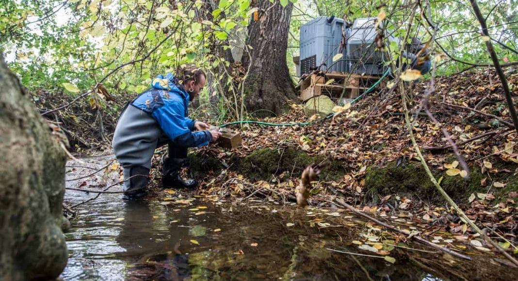 Ein Wissenschaftler testet das Fliessgewässer auf Pestizide der Landwirtschaft.