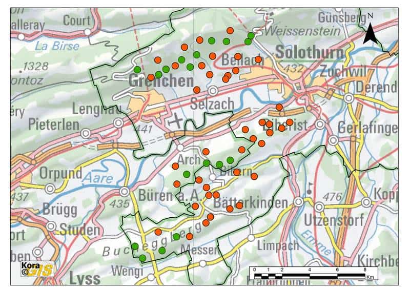 Eine Katze der Fotofallen am Jura Südfuss.