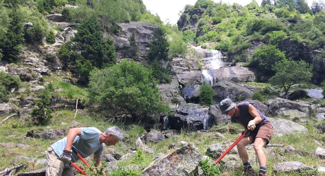Entbuschung in den Ferien: Eine sinnvolle Ferienarbeit.
