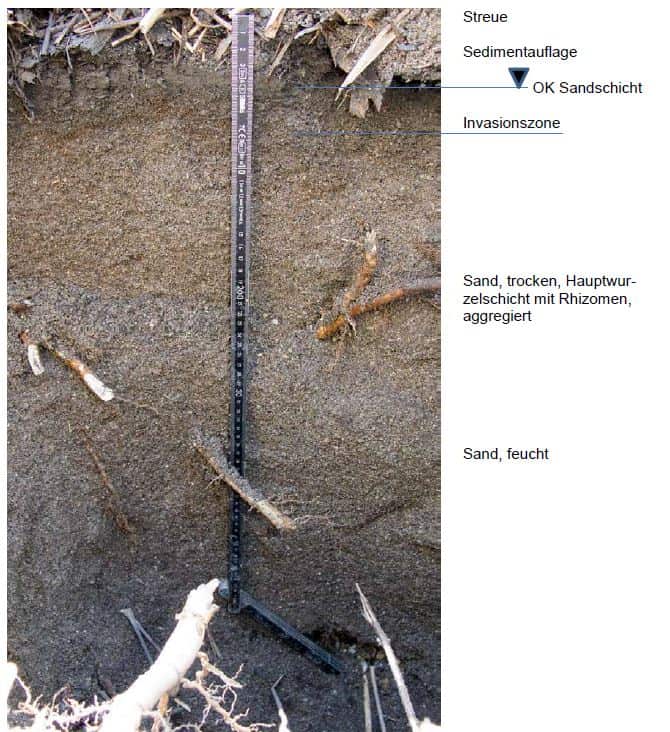 Ein Bodenprofil.