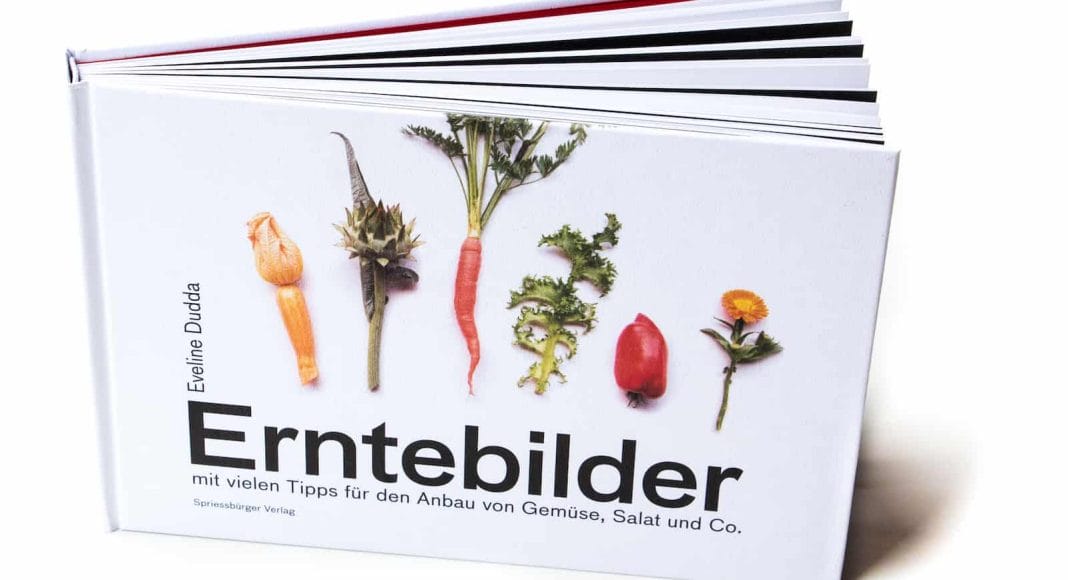 Cover des Buches Erntebilder – mit vielen Tipps für den Anbau von Gemüse, Salat und Co.