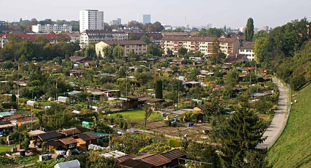 Familiengärten in Städten sind soziale und natürliche Hotspots.