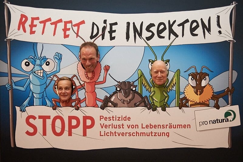 Initiative zum das Insektensterben verhindern.