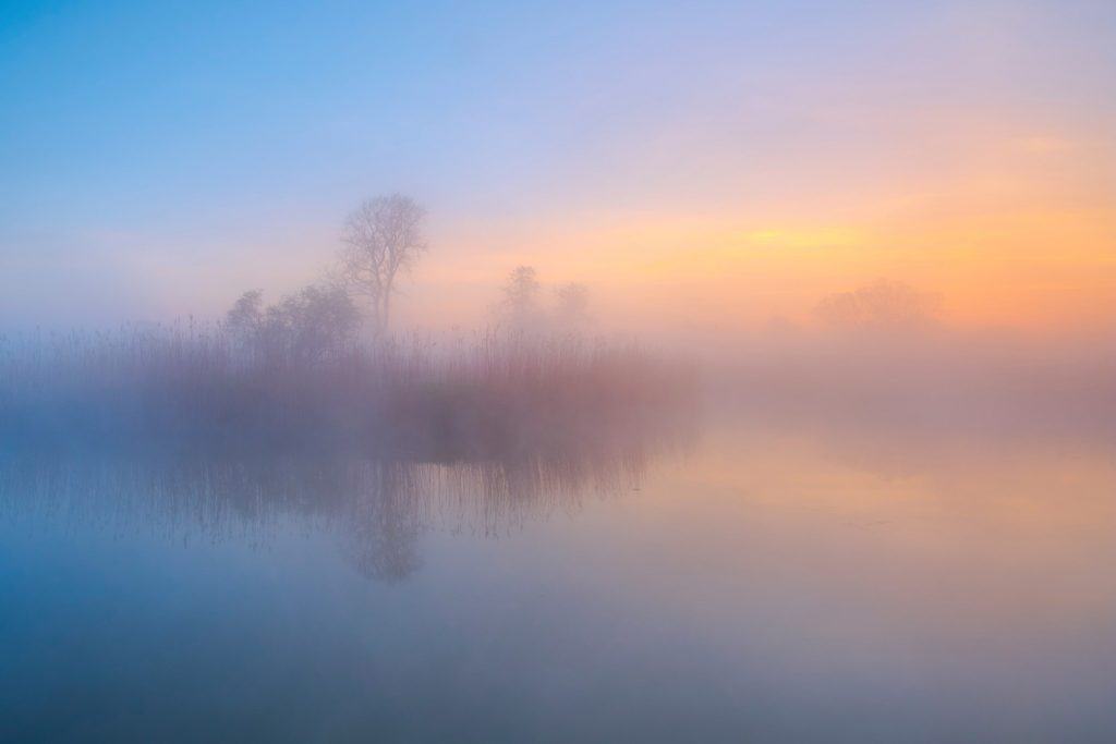 Nebelmorgen in der Elbaue