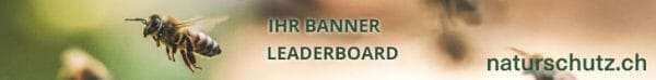 banner leaderboard