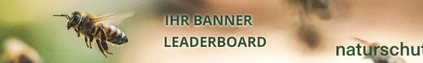 banner leaderboard