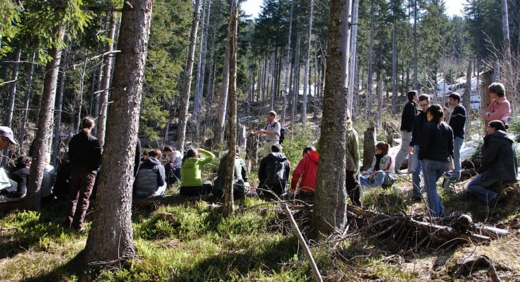 Studenten auf Exkursion im Wald