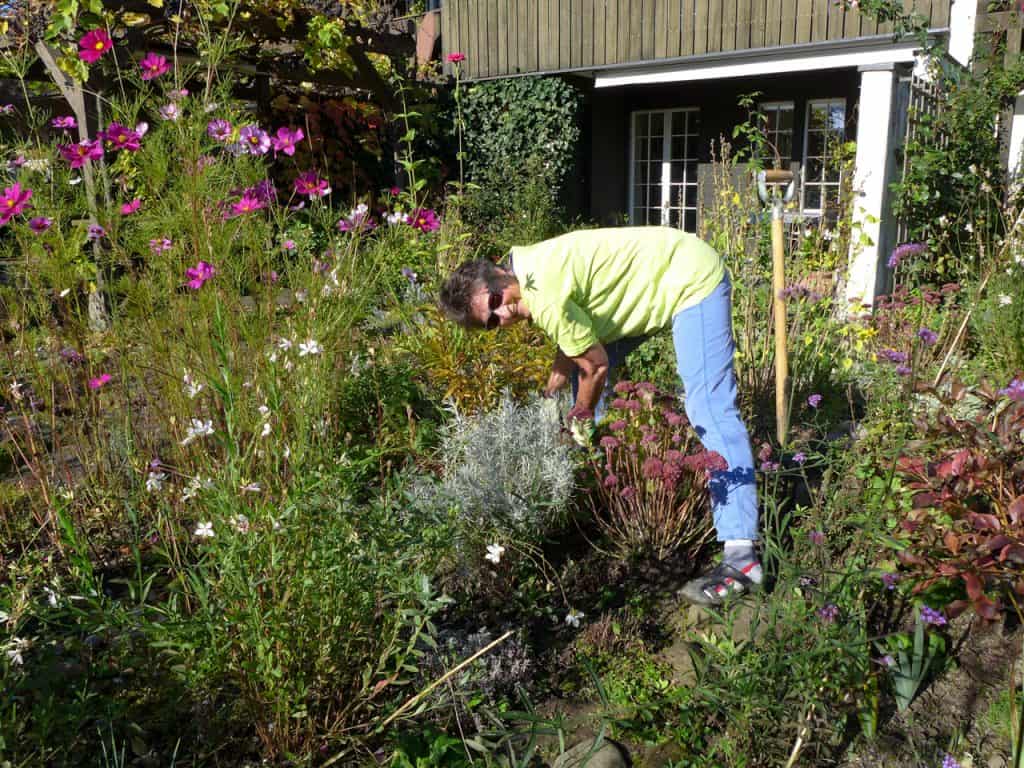 Gartenbesitzerin beim Werken im Garten