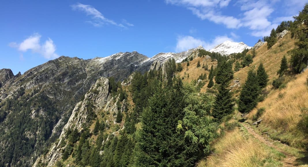 Bergwälder und Wiesenhänge