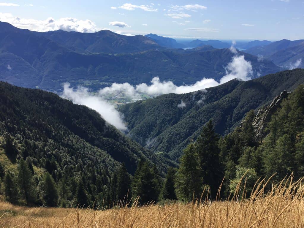Blick über Kastanienwälder