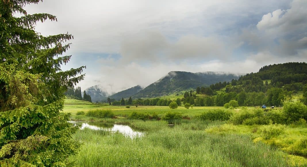 Feuchtgebiete gehören zu den prioritären Lebensräumen in der Schweiz.