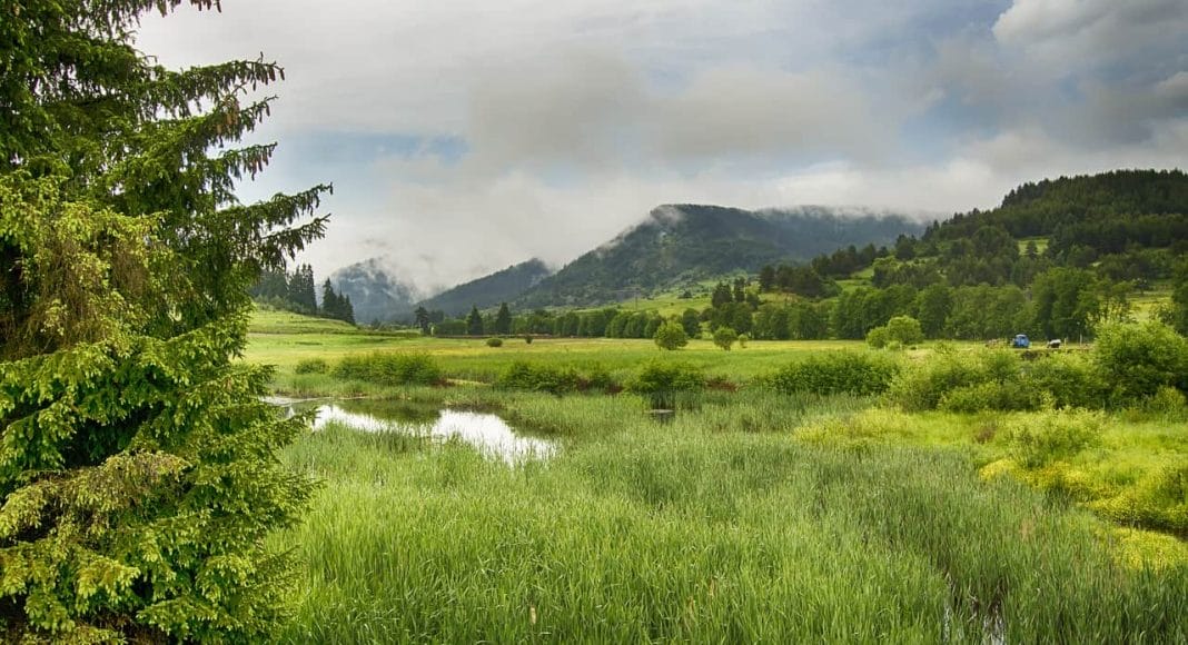 Feuchtgebiete gehören zu den prioritären Lebensräumen in der Schweiz.