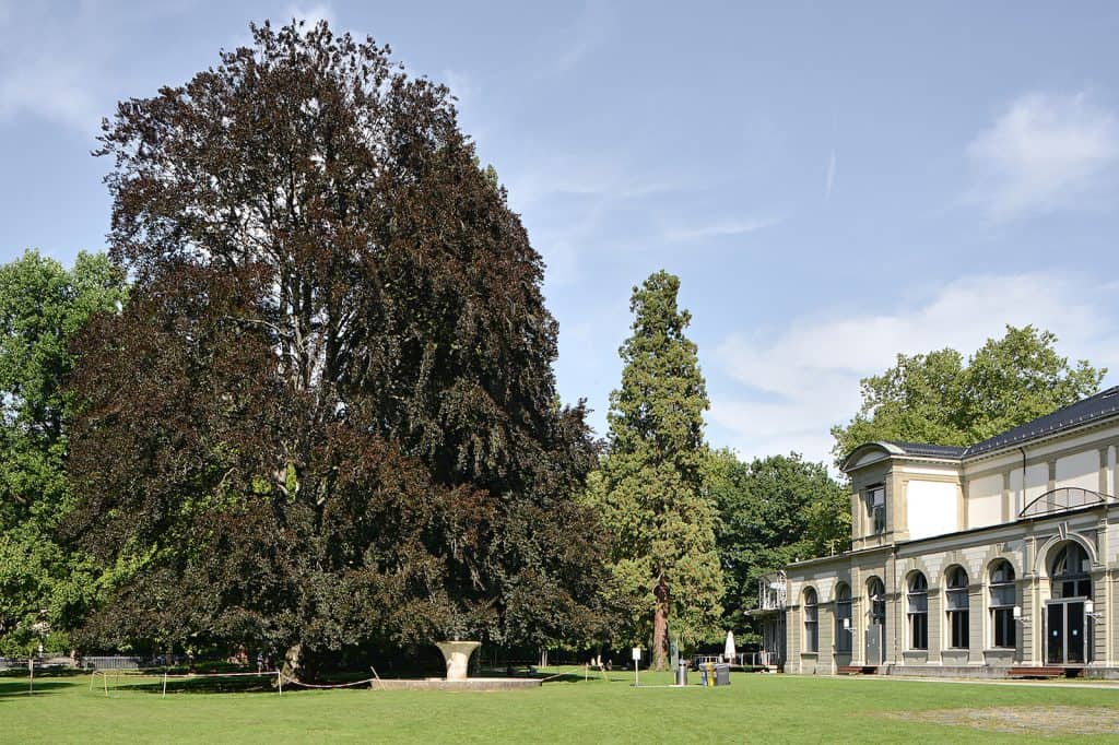 Wakkerpreis_Baden_Parkanlage