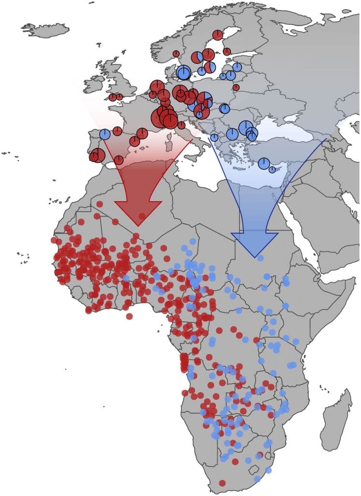 Migrationskarte