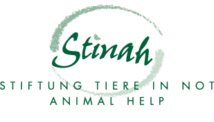 Praktikant/in Tierschutzorganisation (100%)