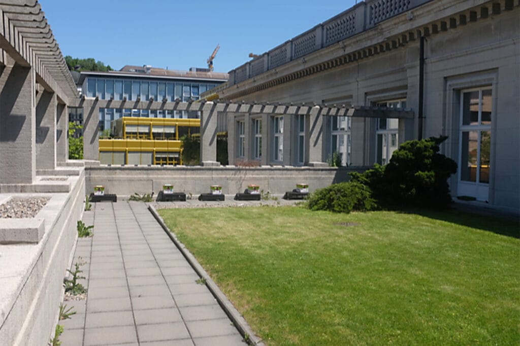 Gemaehte Dachterrasse
