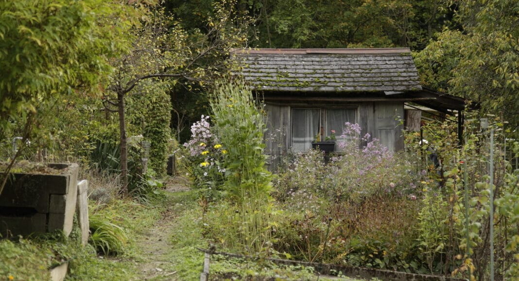 Garten