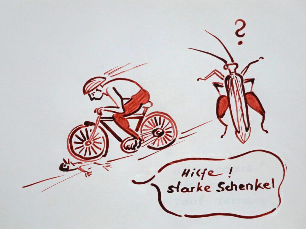 Zeichnung_Radfahrer
