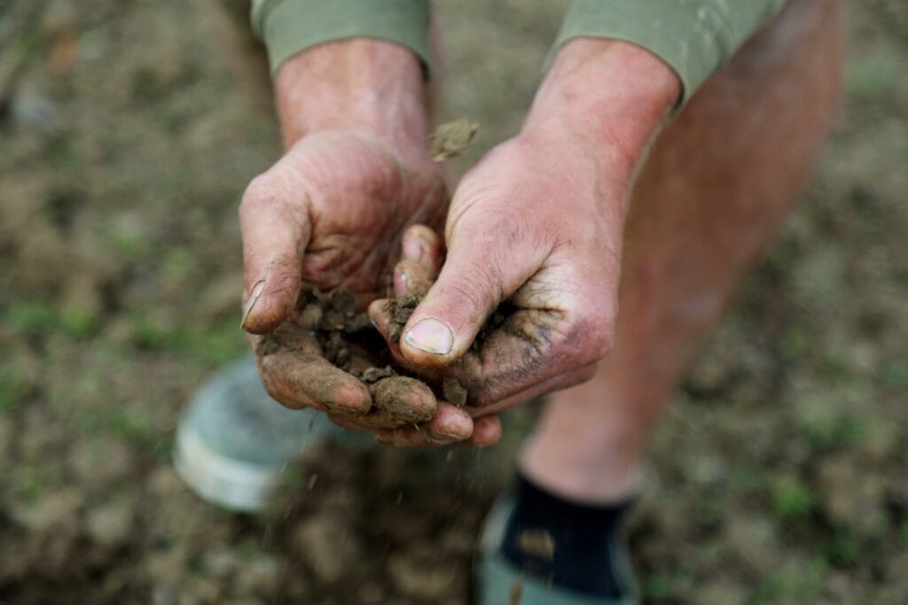 Pflanzenfermenter zur Ernaehrung der Mikroorganismen im Boden