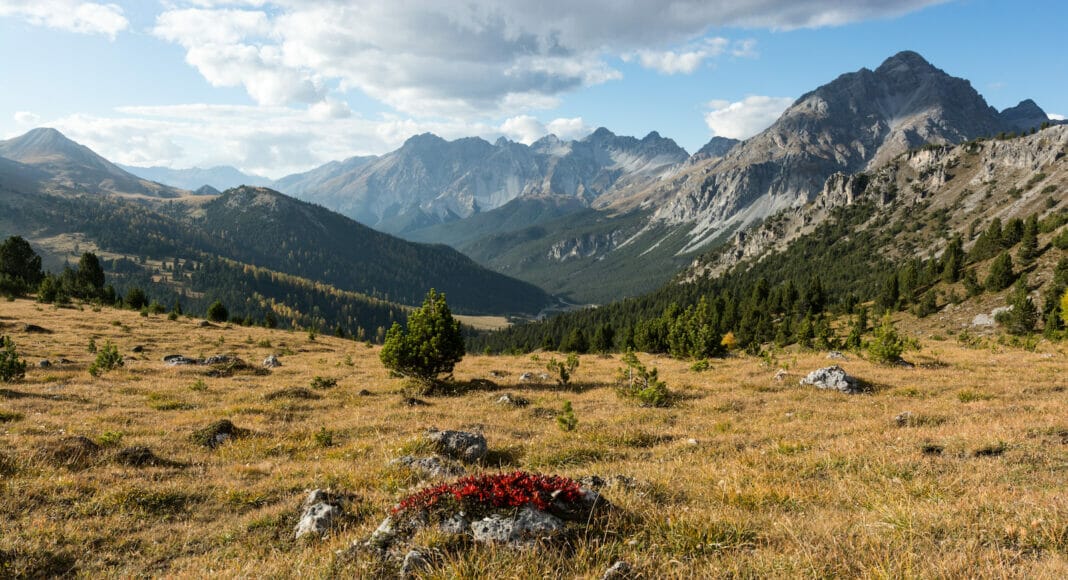 Blick auf Buffalora im Schweizerischen Nationalpark
