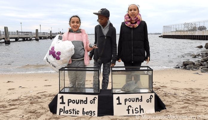 Drei Schülerinnen mit gesammeltem Plastik