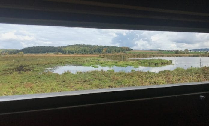 Ausblick auf das Neeracherried durch das Fenster einer Beobachtungshütte