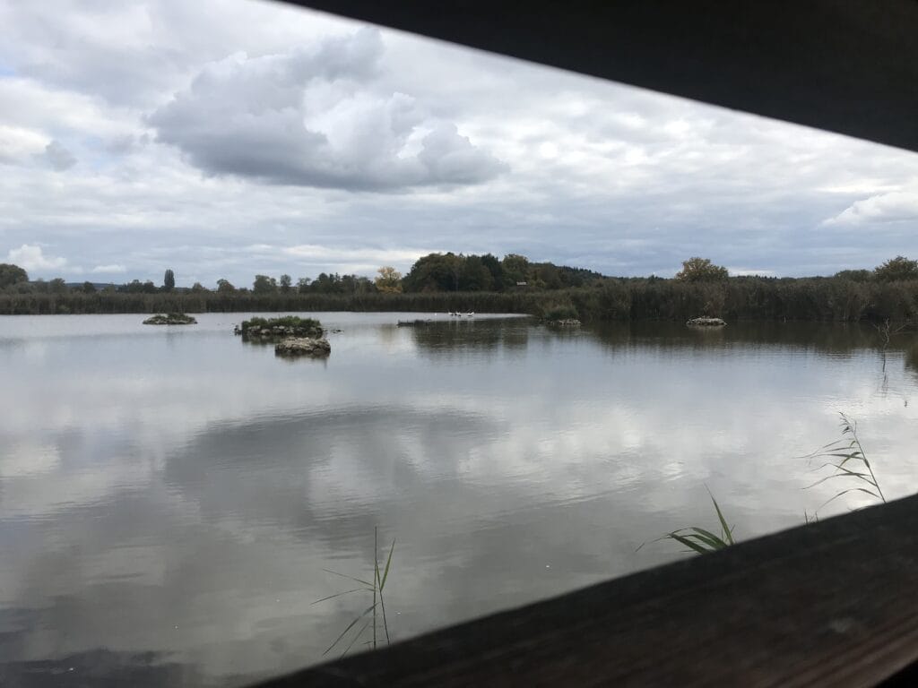 Ausblick auf das Neeracherried durch das Fenster einer Beobachtungshütte