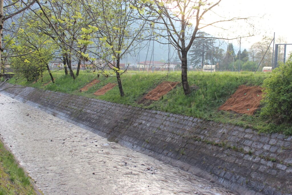frisch gepflanzte Flächen entlang von Flussufer