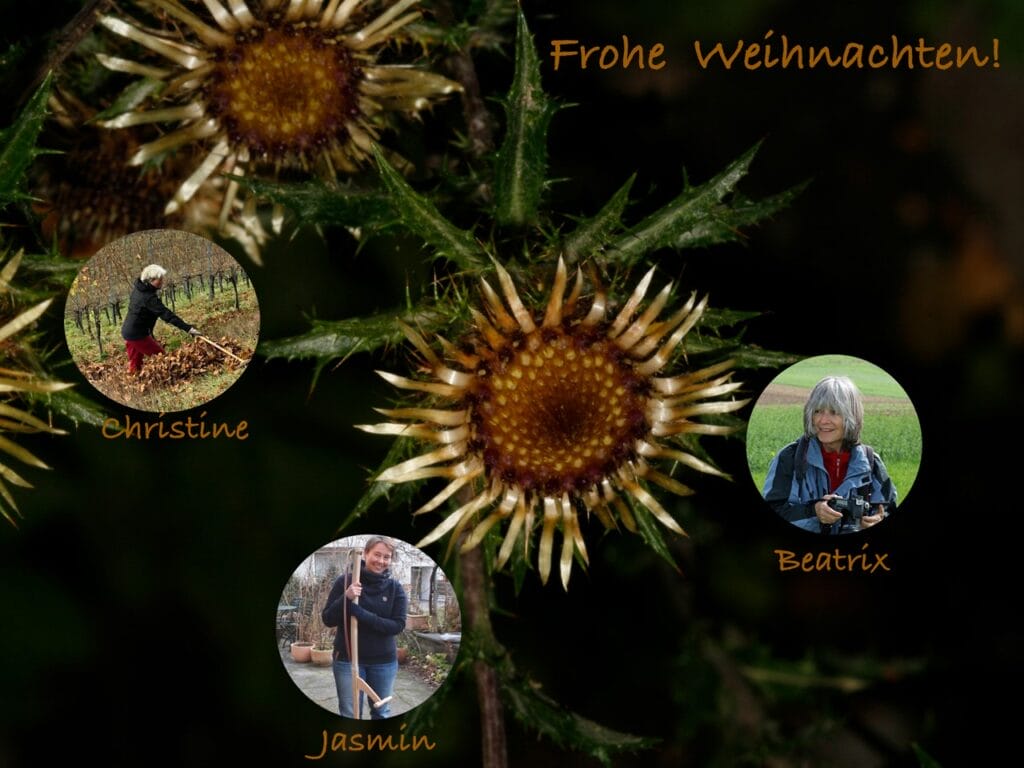 Hotspot-Bloggerinnen